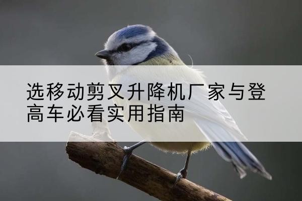 通州区电动升降机厂家-选移动剪叉升降机厂家与登高车必看实用指南