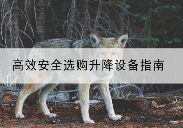 通州区升降货梯厂家推荐-*安全选购升降设备指南